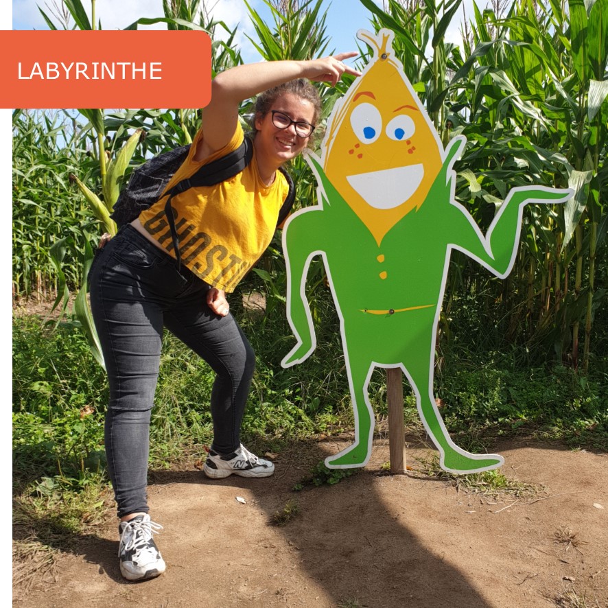 Activité Labyrinthe à proximité du camping les 7 saints à Erdeven